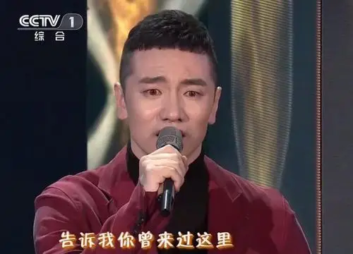 王琪凭什么在春晚独唱背后的故事更加感人