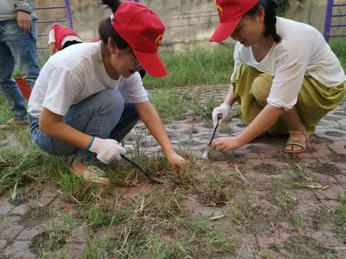 "清理杂草为学生,用心助力开学季"——明珠世纪小学拔草进行时