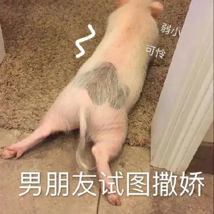 男朋友试图撒娇