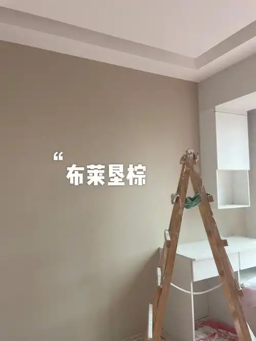 07立邦可可蛋奶布莱垦棕上墙实拍8007