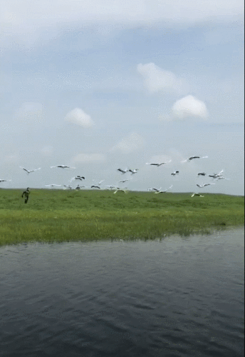 466_678竖版 竖屏gif 动态图 动图