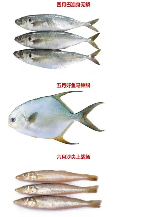 "吃海鱼长大的潮汕小伙伴们,别吃鱼不识时令呀!