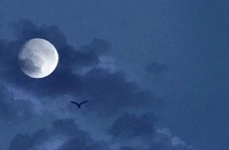 优质背景/ins背景/神仙背景 - 堆糖,美图壁纸兴趣社区