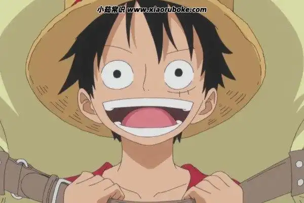 海贼王949路飞吃第二个果实是真的吗漫画中未出现只能拥有一颗