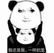 龙图表情包(99张)_公众_il_熊猫头