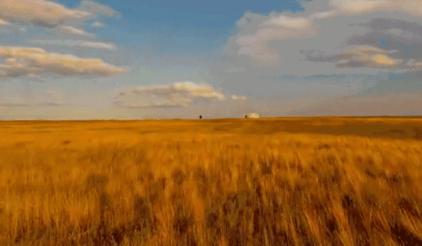 北辰为农田做"激光美容"还拿了个全国大奖!