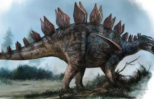 恐龙的种类图片大全(2)