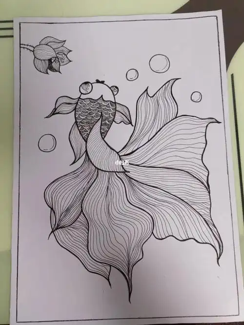 线描画金鱼