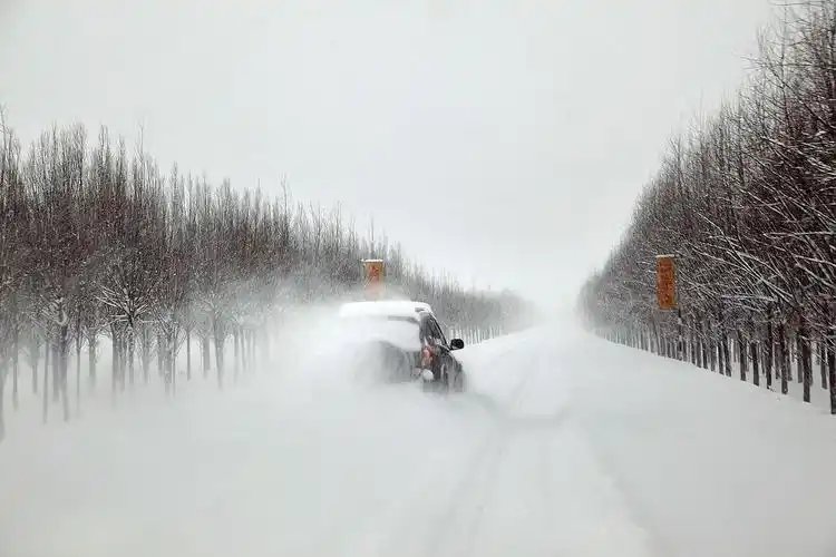 《风雪归途》(一)