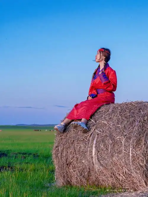 这草原和牛羊组成的美好画面,无论看多少次,都不会腻