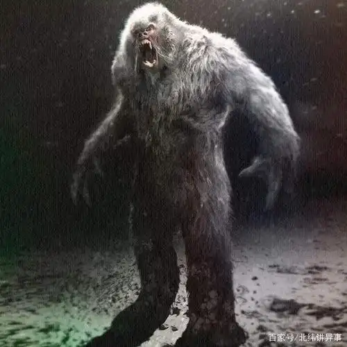北纬讲异事「雪山上的神秘生物:雪怪」