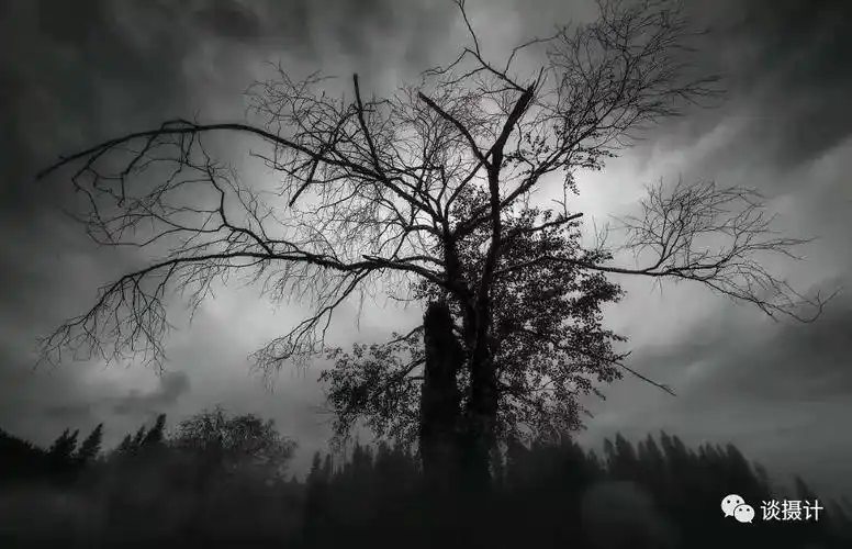 如果这个世界只剩黑白,你会拍点什么?