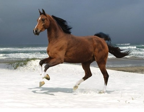 【图】【爱车大咖秀】我的汗血宝马_1_宝马x1论坛_爱卡汽车