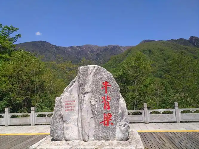 秦岭牛背梁——养在深闺人未识的天然氧吧