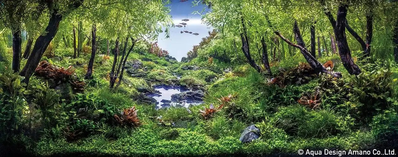 【转载】2018年ada世界水草造景大赛前9名-图6