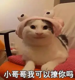 抖音我可以撩你吗表情包汇总-佩琪手游网