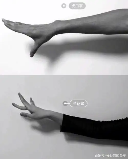 古典舞的基本手位