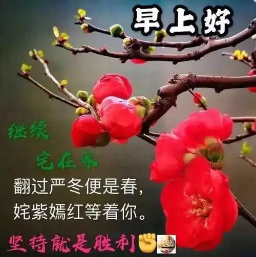 3月11日每天一祝早上好问候语表情漂亮图片大全
