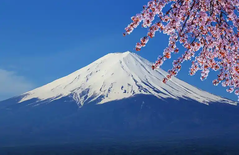 富士山,风景,湖,顶峰,樱花,日本_高清图片_全景视觉
