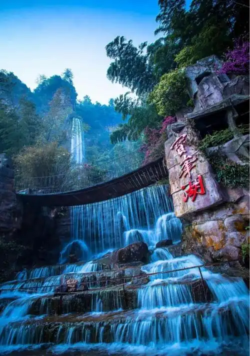 来张家界必玩的景点杨十宝上榜