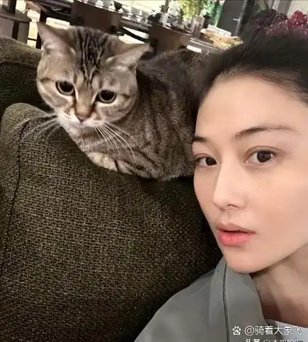 张馨予出发米兰,啥都没带就带个人 2月24日下午,张馨予在社交媒体发文