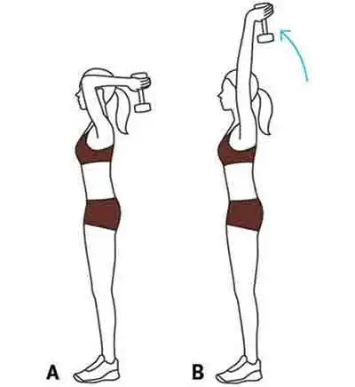 直立哑铃/杠铃颈后臂屈伸标准动作要领【图】多数人都做错了!