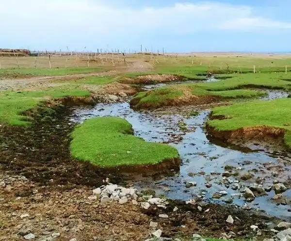 提起世界上的大江大河,想必小伙伴们也能说出来很多,今天就来给大家