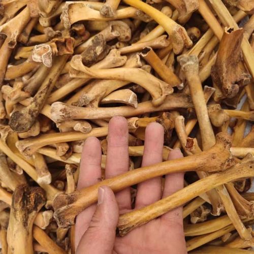 北京同仁堂原料中药材狗骨头粉煅狗骨头炒制狗骨头粉药用犬骨粉内廷上