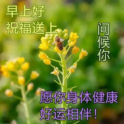 8张最美春日风景早安图片带字带祝福语 春天早上好问候祝福图片带字