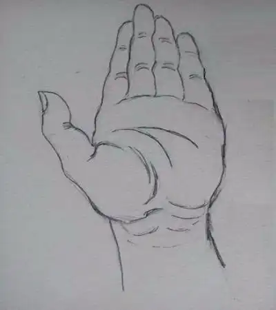 速写教程:教你画手掌