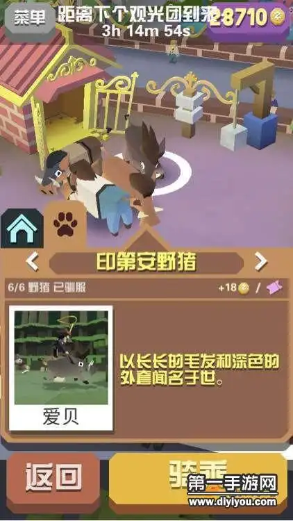 疯狂动物园印第安野猪一只来自北美的土著猪