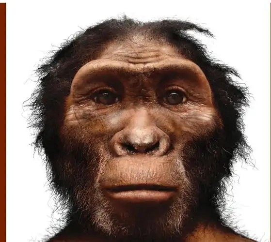 远古时代,人类的诞生_智人_直立人_山顶洞人