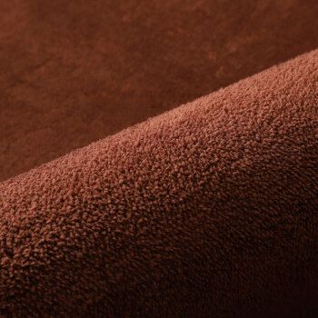 撸猫感纯色定制地毯客厅茶几毯卧室整铺床边毯加厚可机洗家用 咖啡色