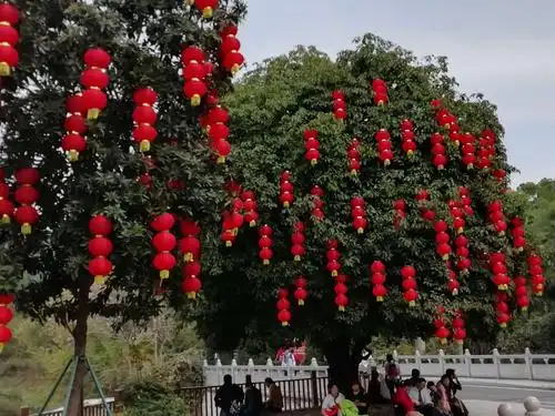 树树高挂红灯笼!