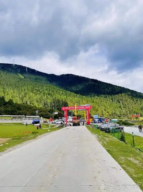 🌲20℃的盛夏秘境!鲁朗林海避暑攻略公开