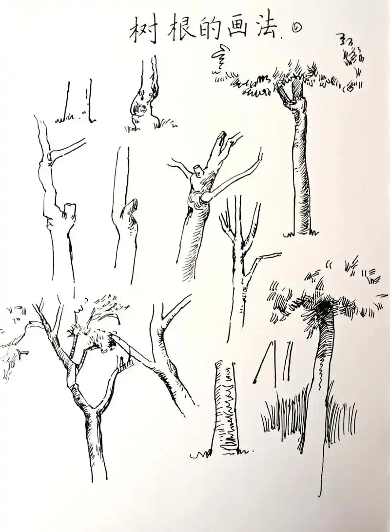 树干的画法一看就会一学就会