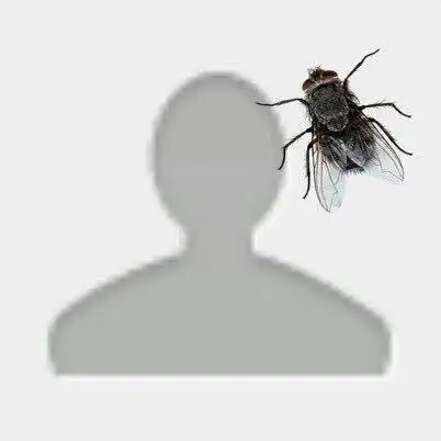 自从换了这个头像,每天都有人找我玩