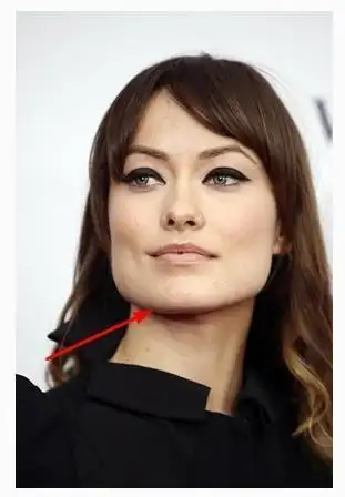 若有此下巴,富贵甲天下