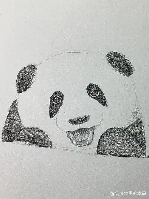 9494素描超可爱熊猫 步骤详解