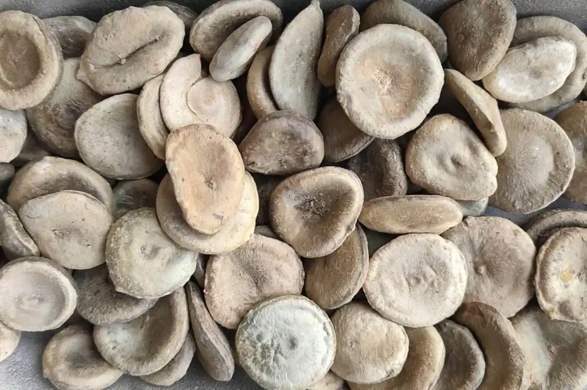 马钱子进口报关清关所需单证资料及操作要求