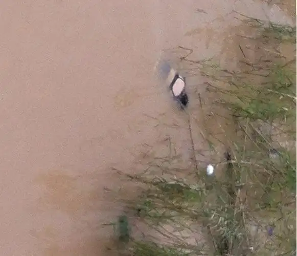 [灌水]湖州金湖大桥惊现一具女性浮尸