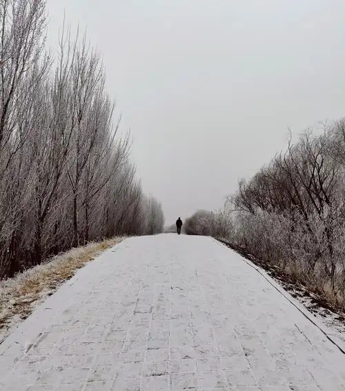 雪后,旅人孤独的背影