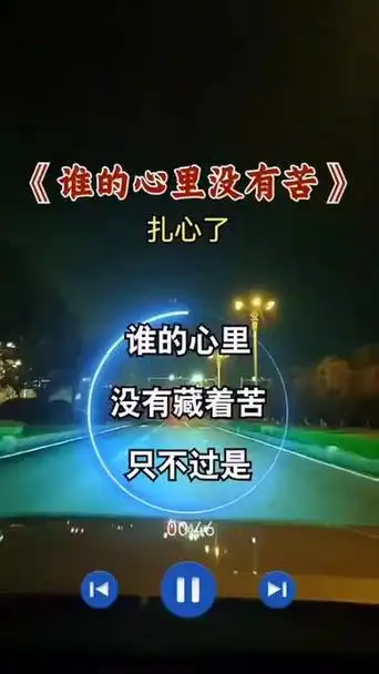 谁的心里没有苦 #成年人的生活没有容易二字 #说不出的心酸