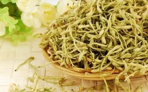 【金银花专题】金银花的成分|金银花的功效与作用|金银花的食用方法