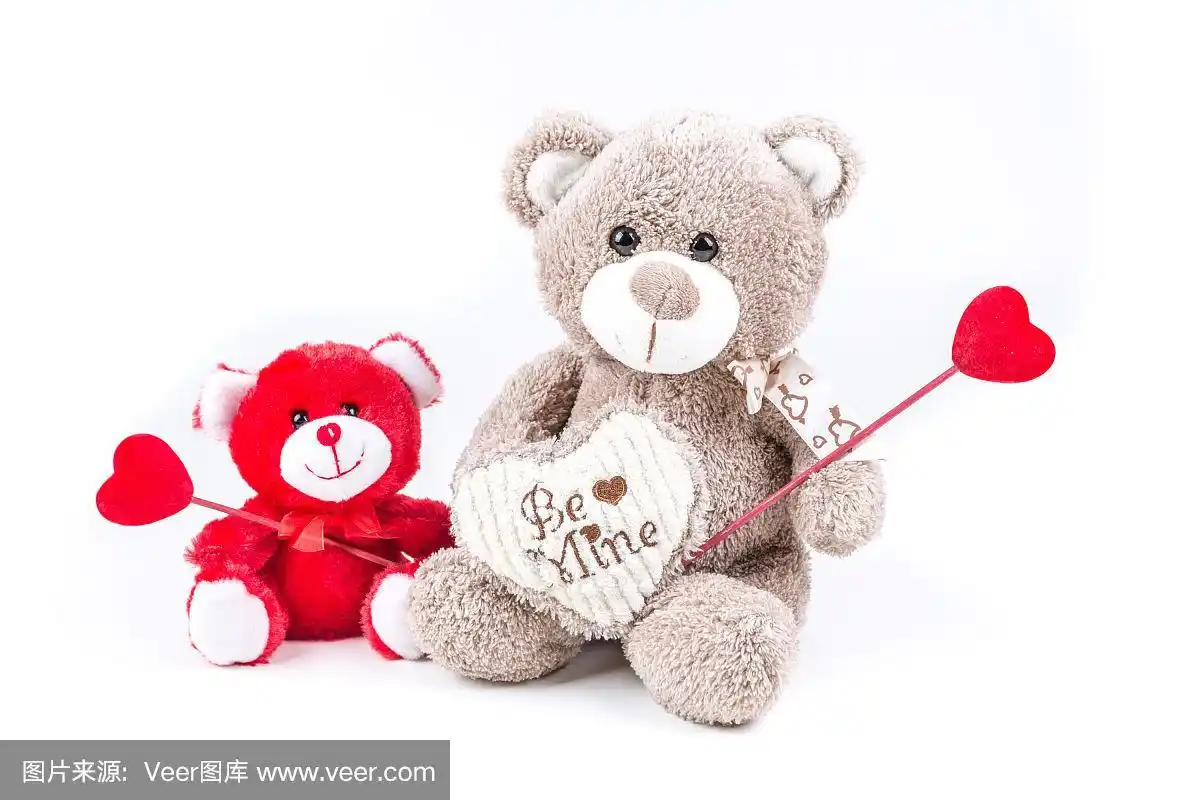 两只情人节小熊抱着一颗心,孤立在白色背景上