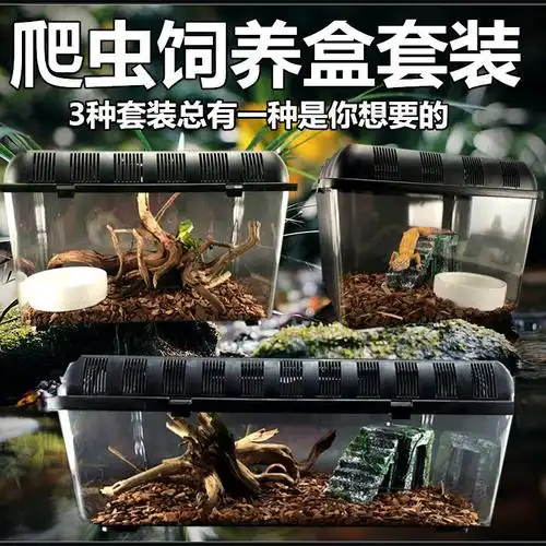 饲养箱蟋蟀箱子养殖蚕宝宝电报幼虫礼盒装玻璃蛐蛐儿昆虫盒-阿里巴巴