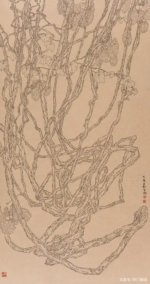 苏百钧老师的白描作品《老藤》赏析