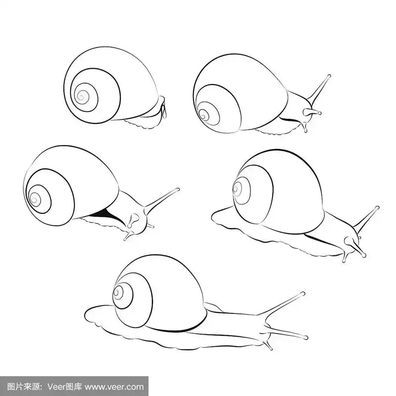蜗牛向量集.黑白形状