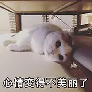 心情变得不美丽了(猫咪表情包)