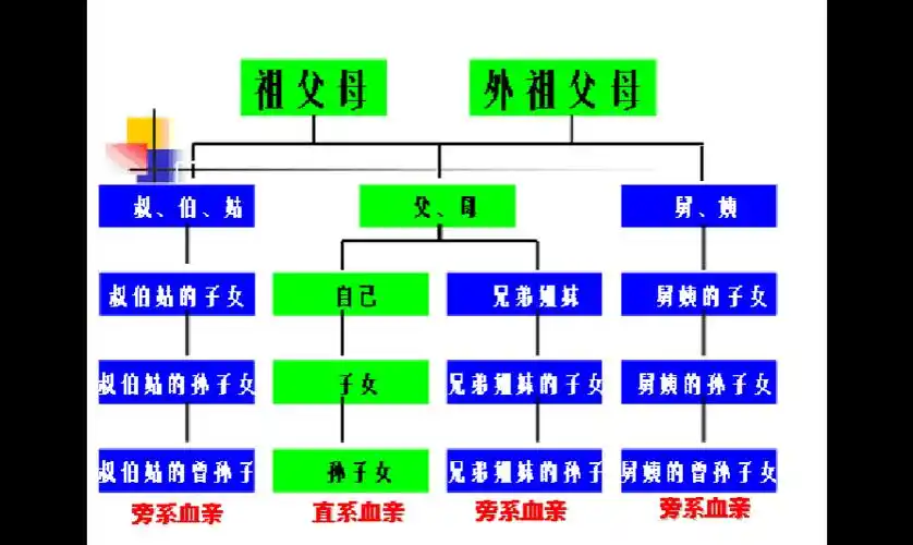 三代亲属关系图,直系三代亲属关系图-图片大观-奇异网